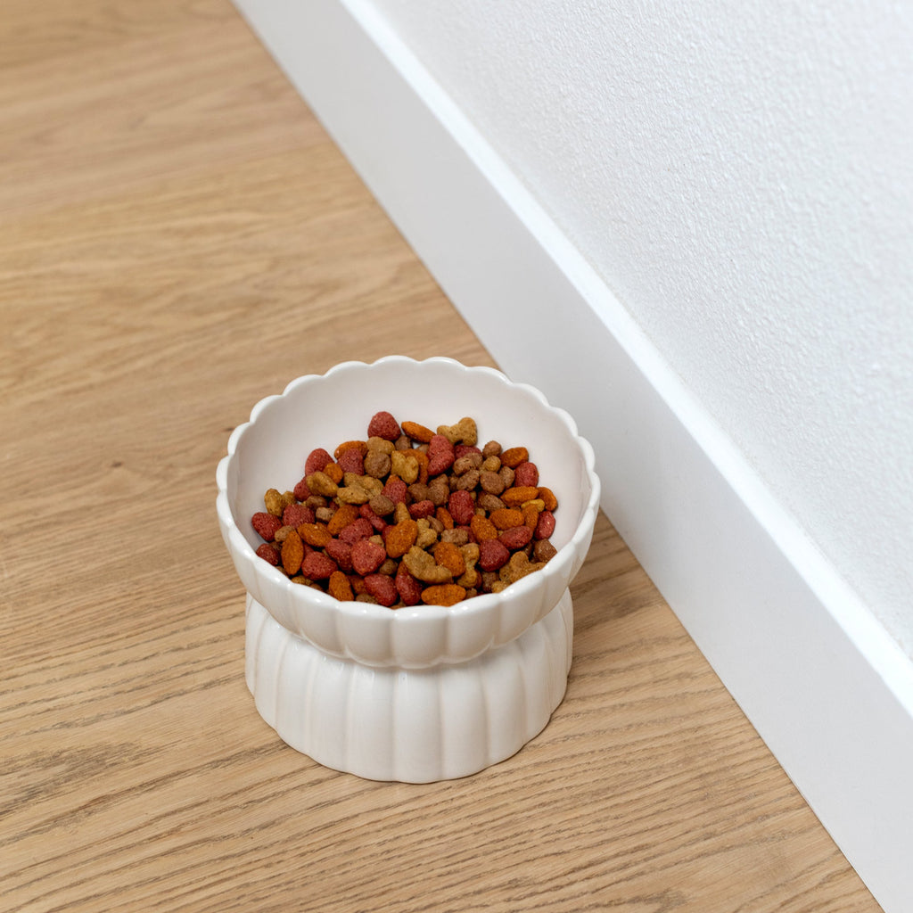 Scalloped Ivory Medium Dog Bowl
