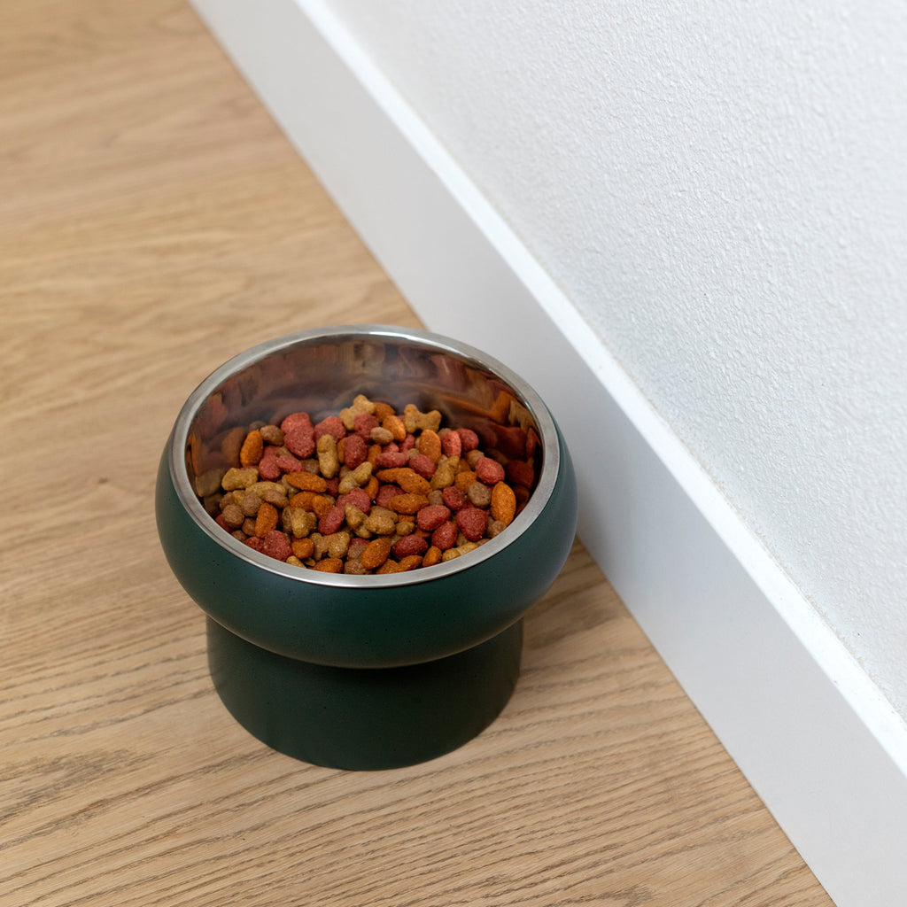Matte Speckled Green Medium Feeder With Bowl