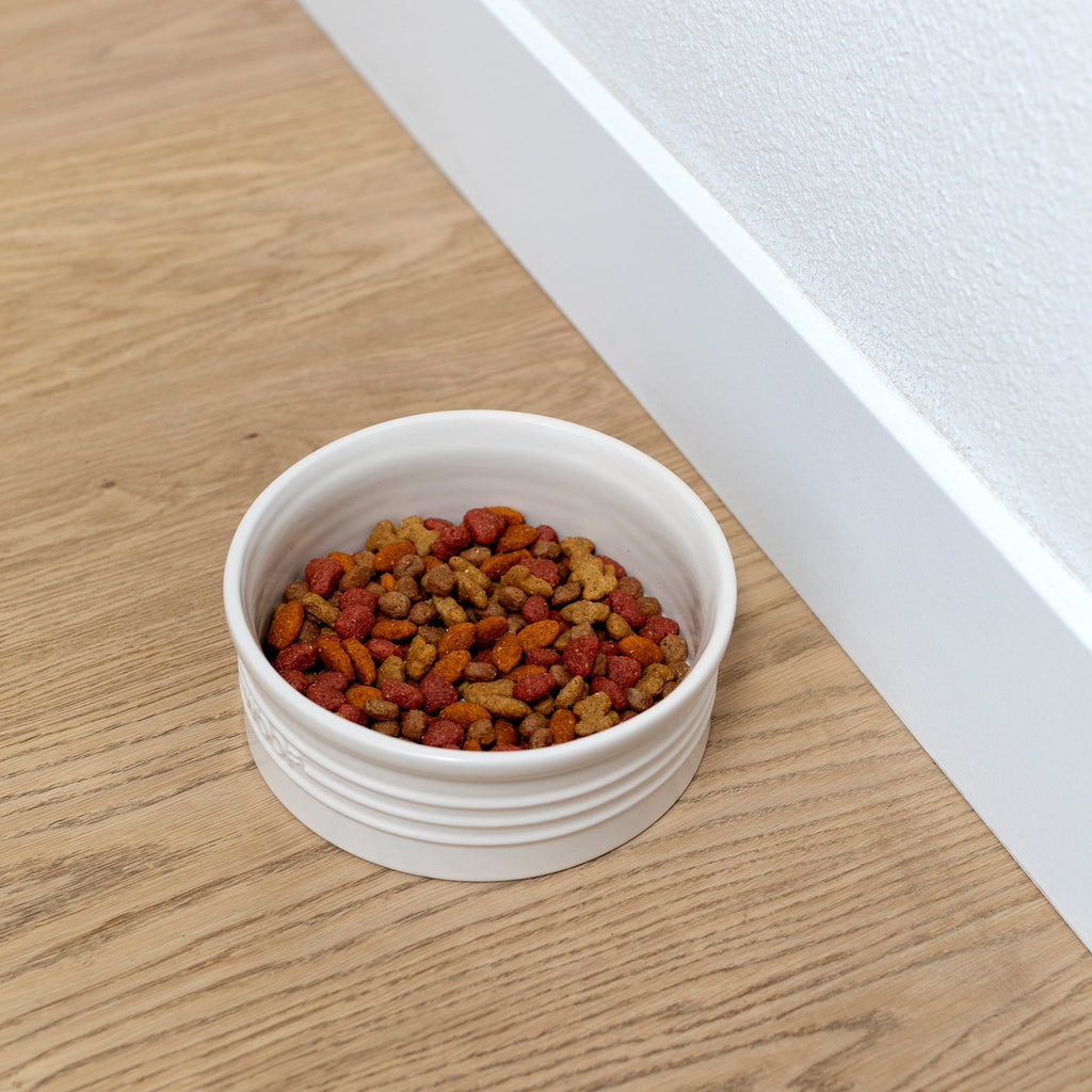 Medium Woof Ivory Dog Bowl