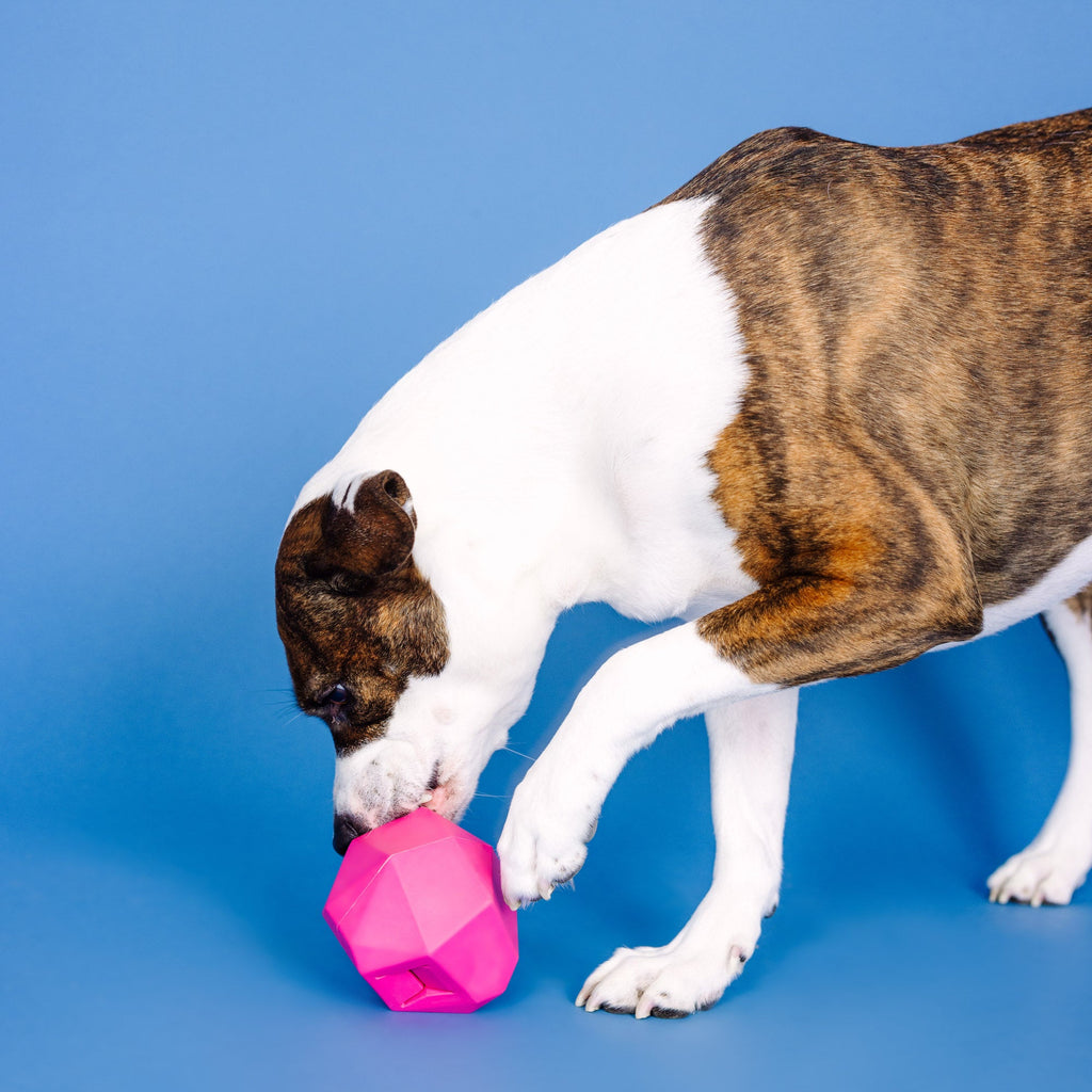 Having A Ball Hot Pink Rubber Dog Toy