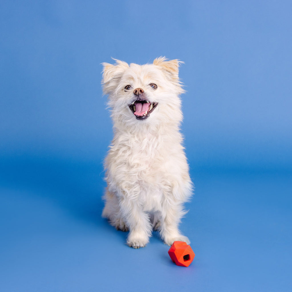 You'Re Adora-Ball Red Rubber Dog Toy
