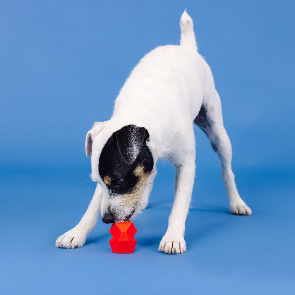 You'Re Adora-Ball Red Rubber Dog Toy