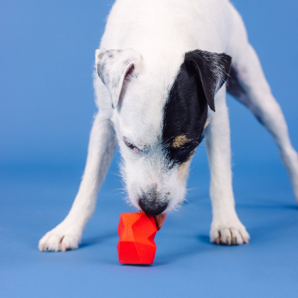 You'Re Adora-Ball Red Rubber Dog Toy