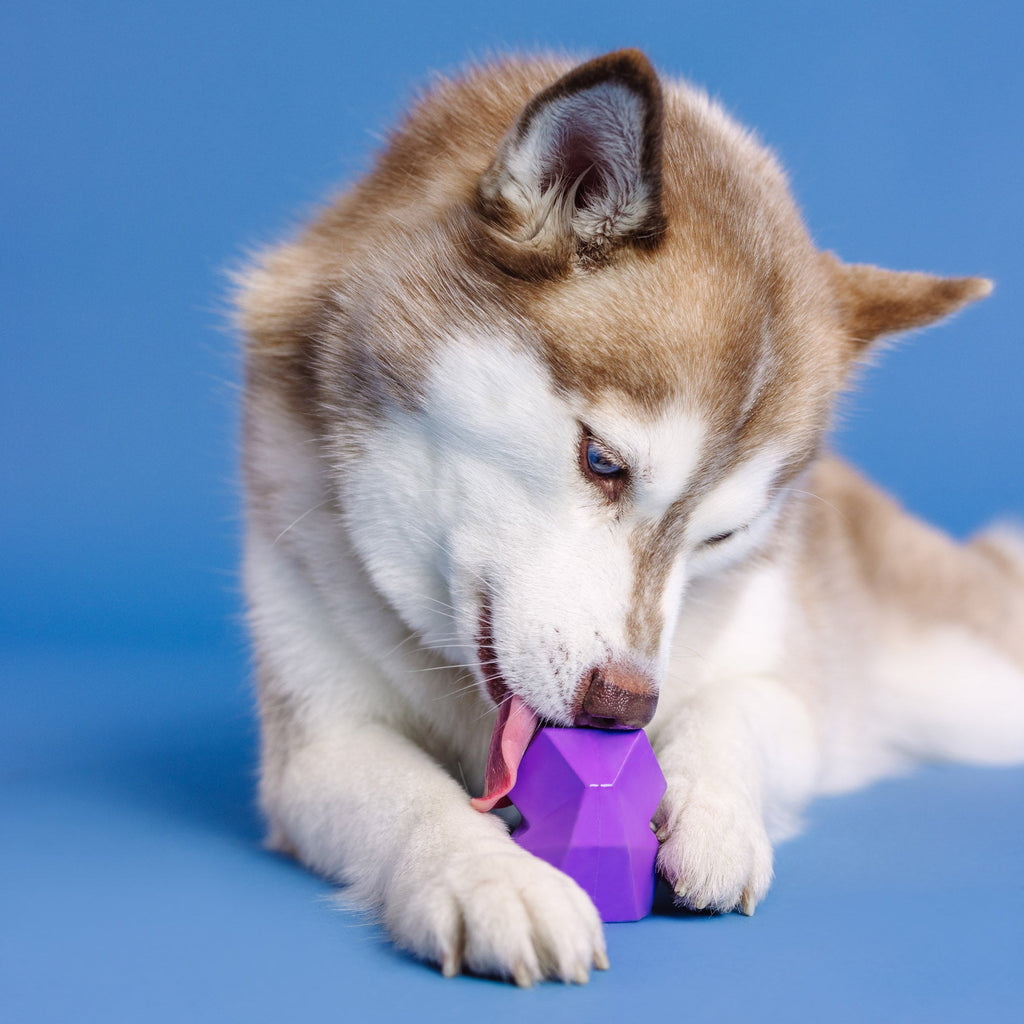 You'Re Adora-Ball Purple Rubber Dog Toy