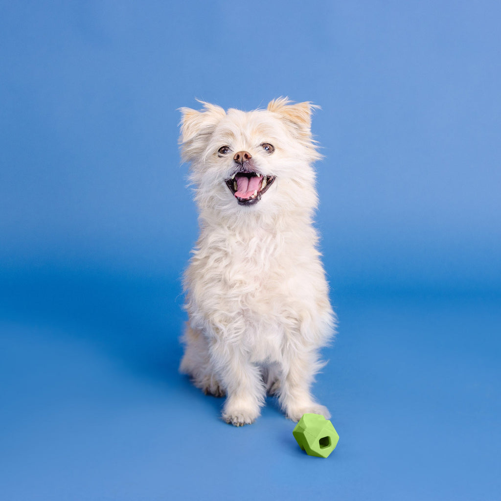 You'Re Adora-Ball Lime Rubber Dog Toy