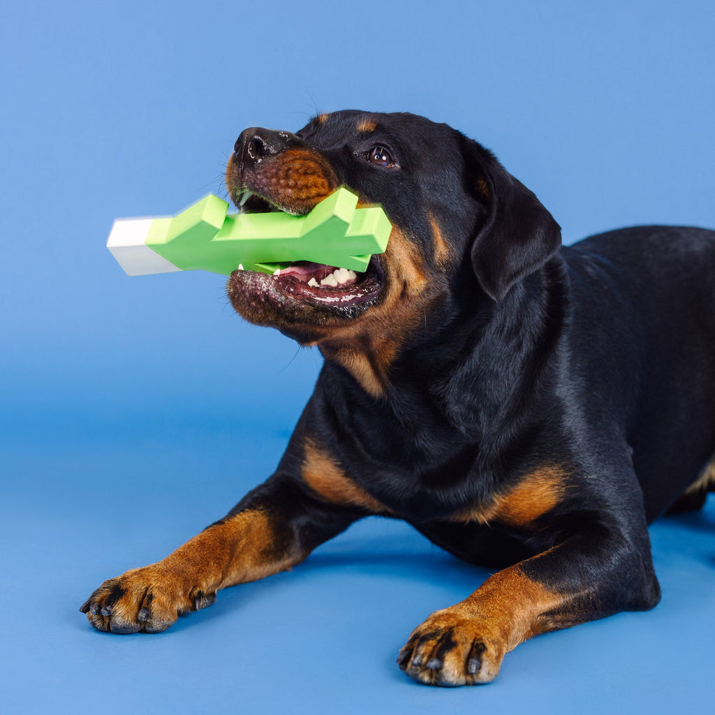 Stick With Me Lime/White Rubber Dog Toy