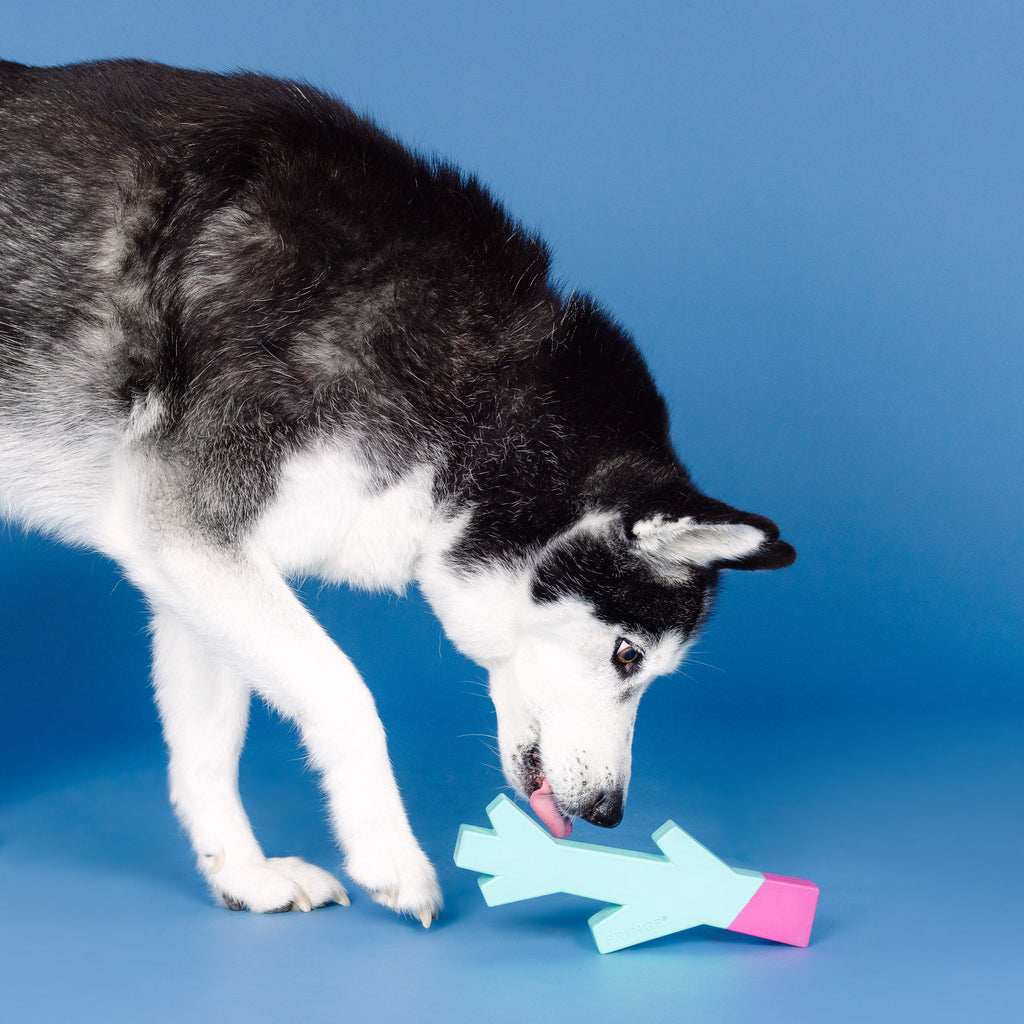 Stick With Me Turquoise/Hot Pink Rubber Dog Toy