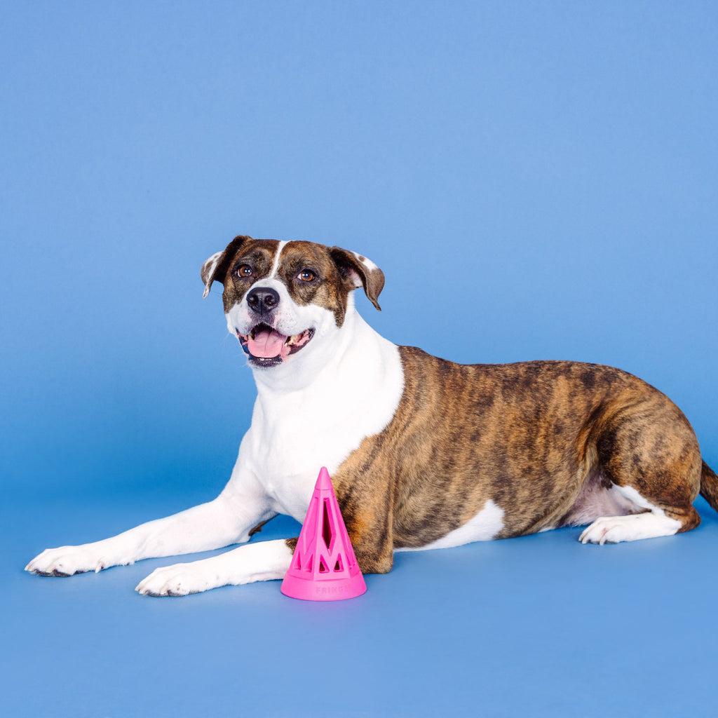 You Cone Do It! Hot Pink Rubber Dog Toy