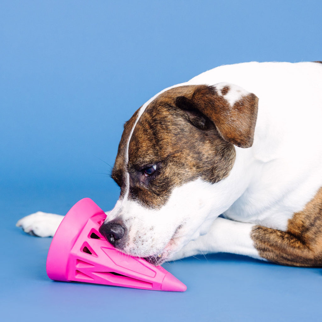 You Cone Do It! Hot Pink Rubber Dog Toy