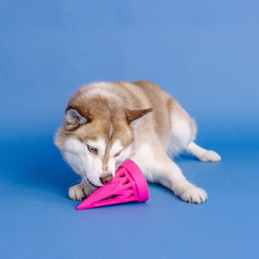 You Cone Do It! Hot Pink Rubber Dog Toy
