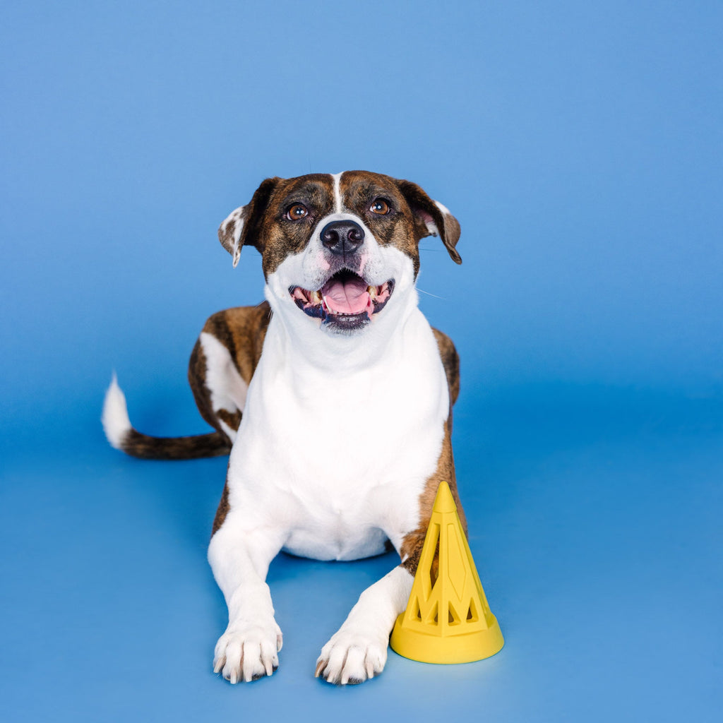 You Cone Do It! Yellow Rubber Dog Toy