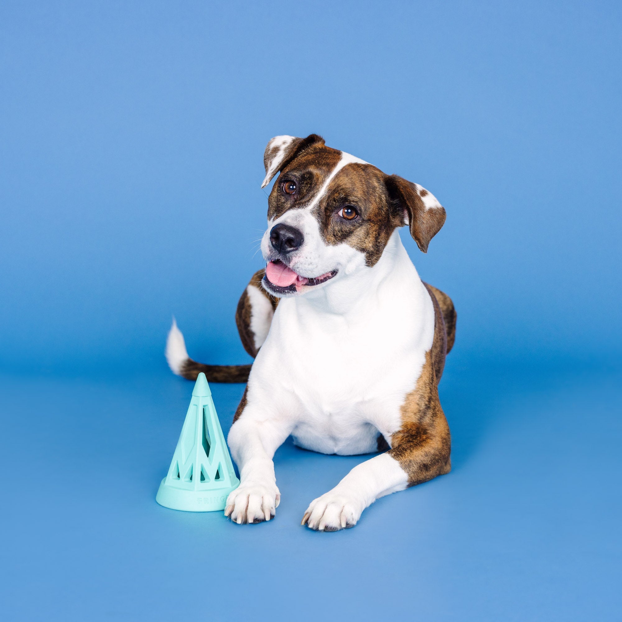 You Cone Do It! Turquoise Rubber Dog Toy