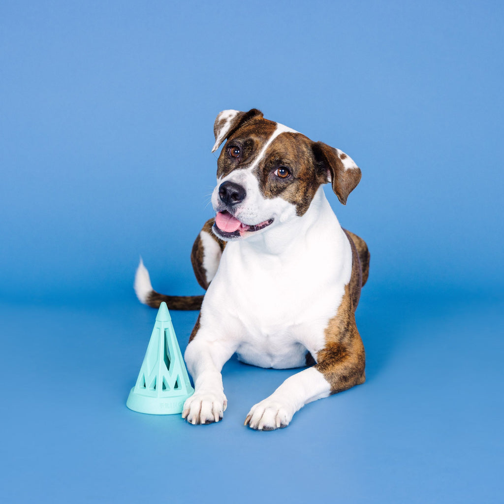 You Cone Do It! Turquoise Rubber Dog Toy