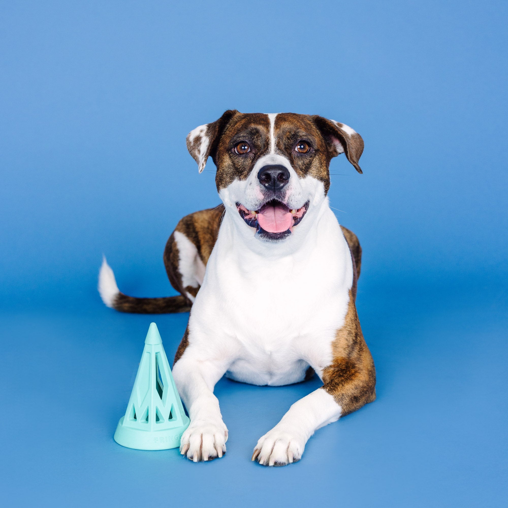 You Cone Do It! Turquoise Rubber Dog Toy