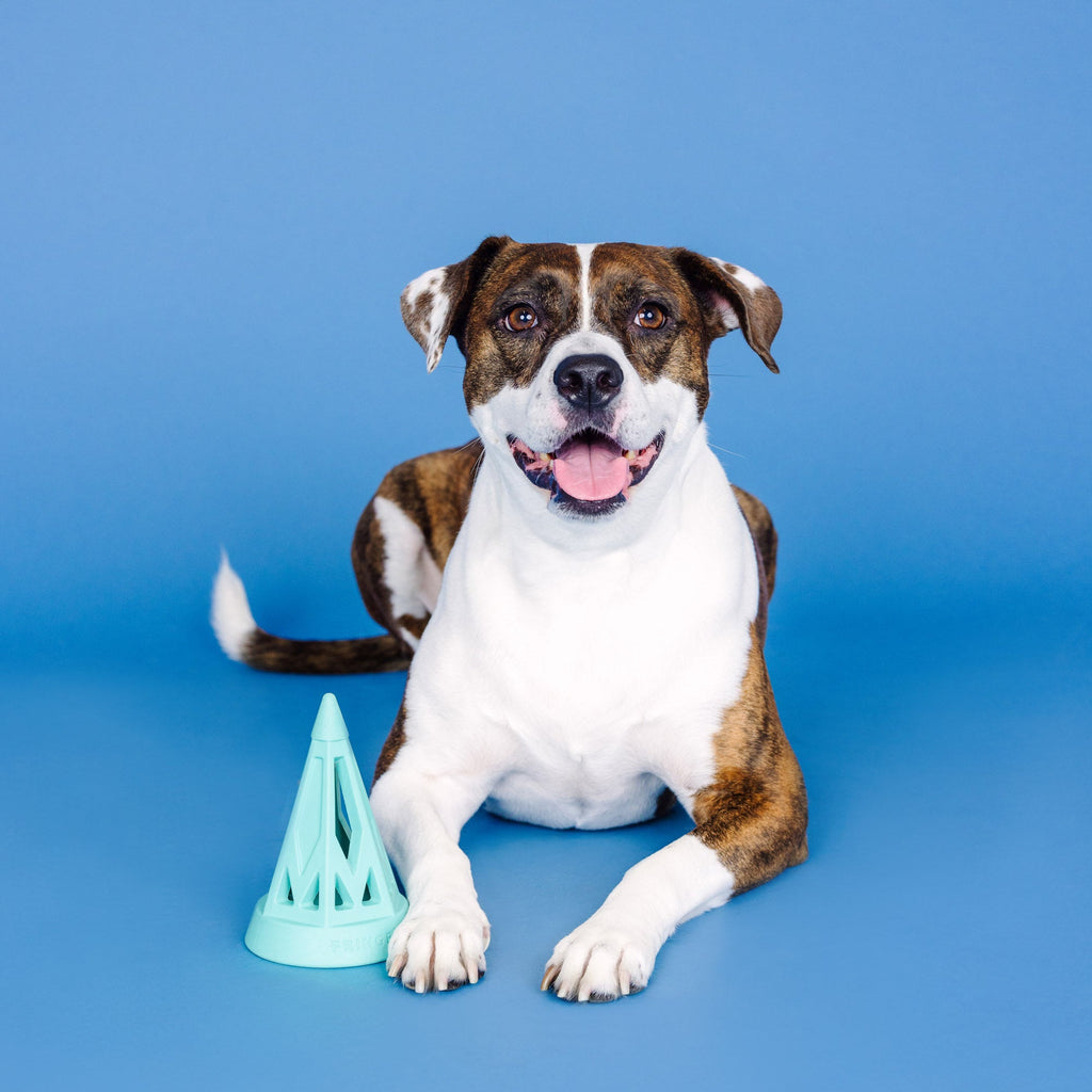You Cone Do It! Turquoise Rubber Dog Toy