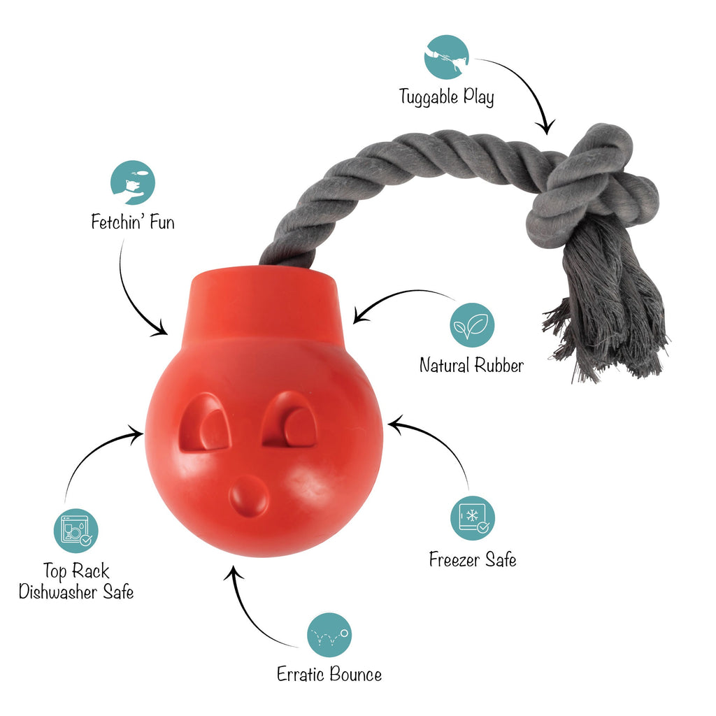 You Da Bomb Rubber Dog Toy