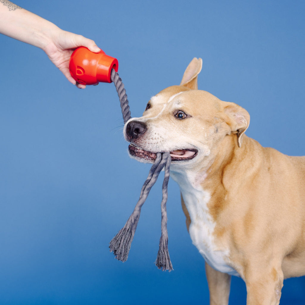 You Da Bomb Rubber Dog Toy