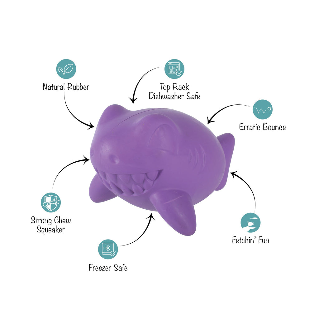 Catch Ya Later Purple Rubber Dog Toy