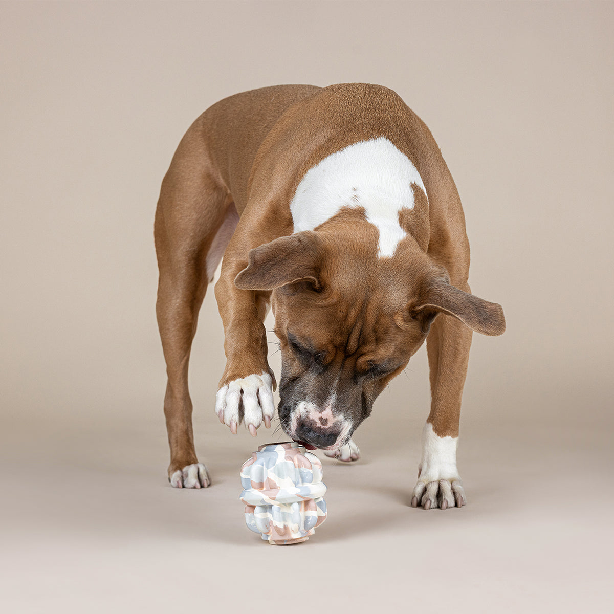 Geo-Metric Rubber Dog Toy