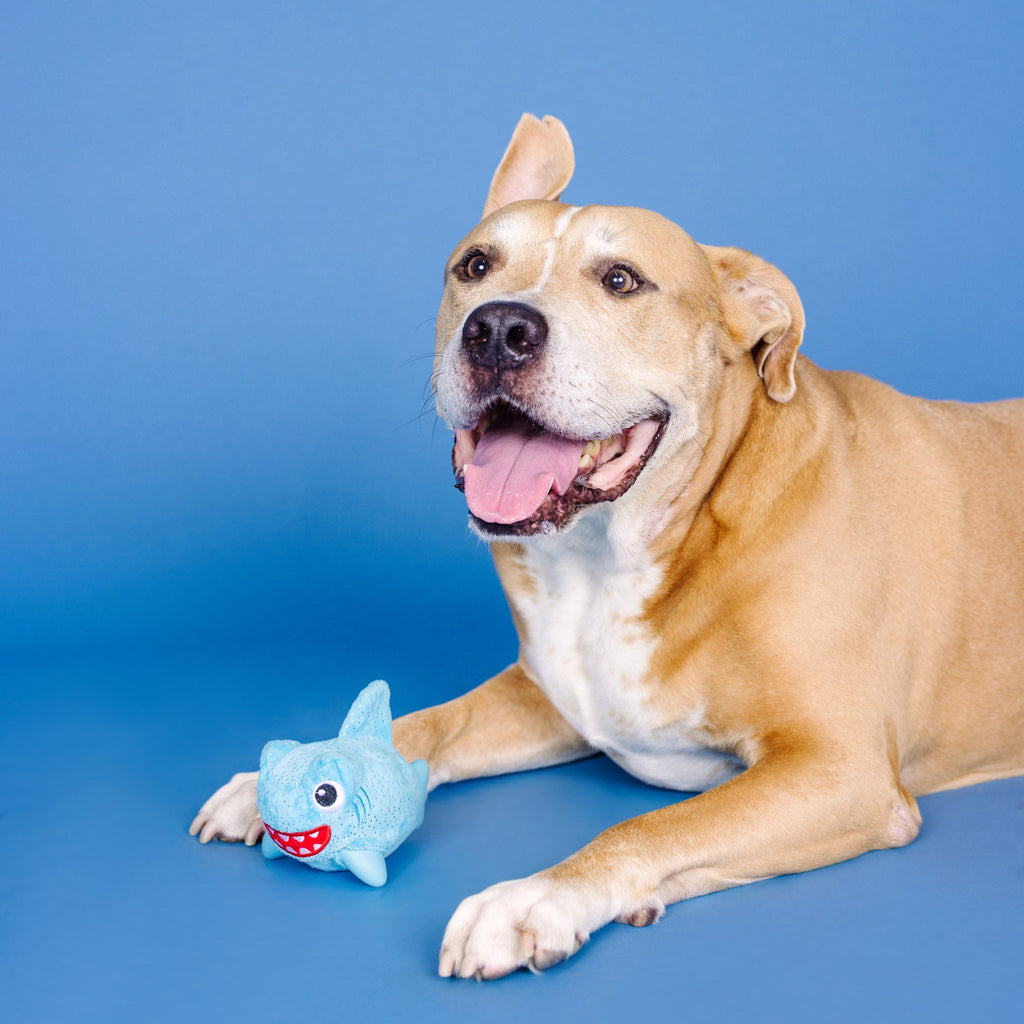 Out Of The Blue Rubber/Plush Dog Toy
