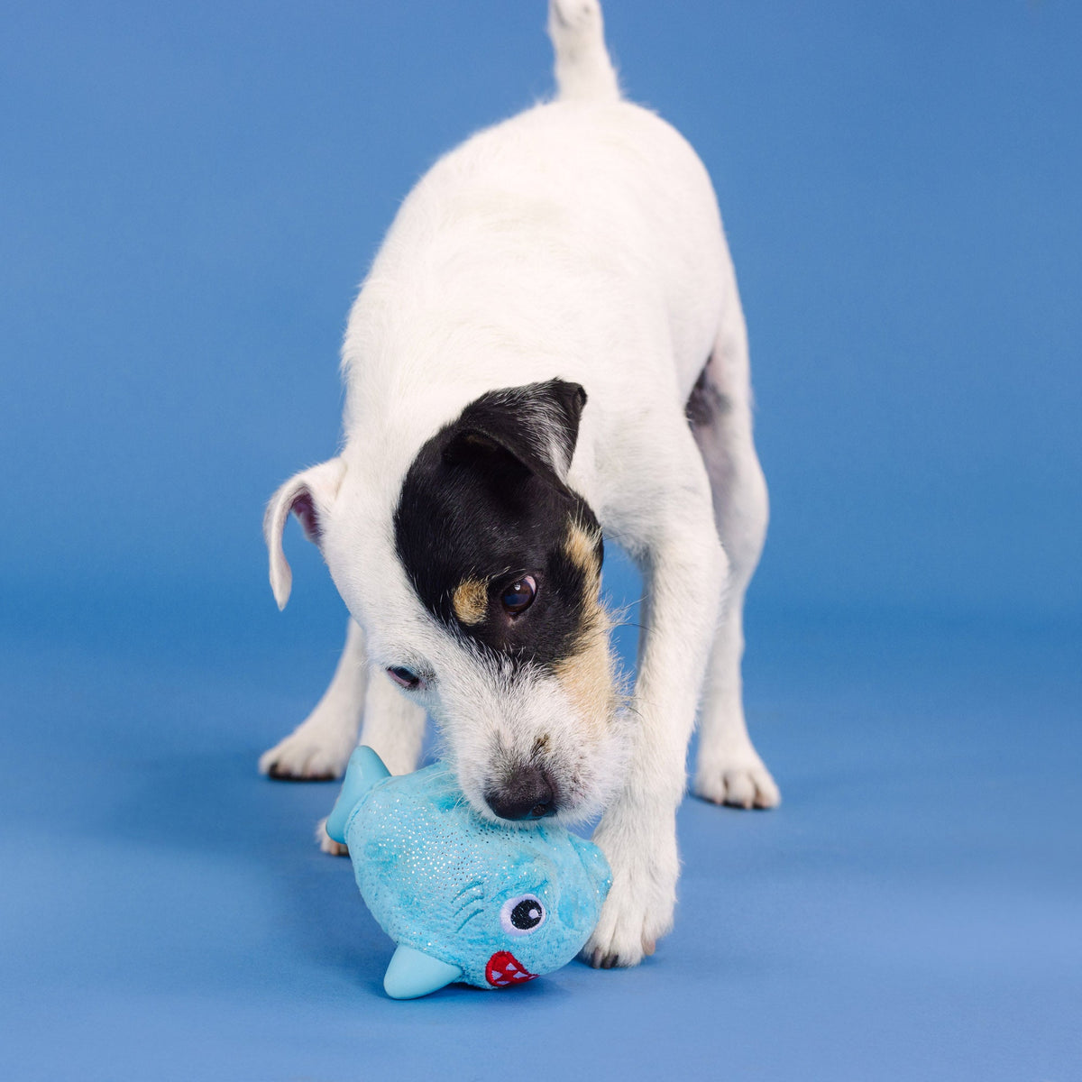 Out Of The Blue Rubber/Plush Dog Toy