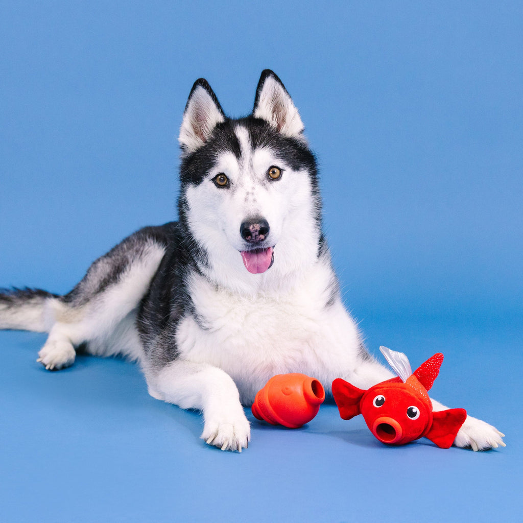 Reel Me In! Rubber/Plush Dog Toy