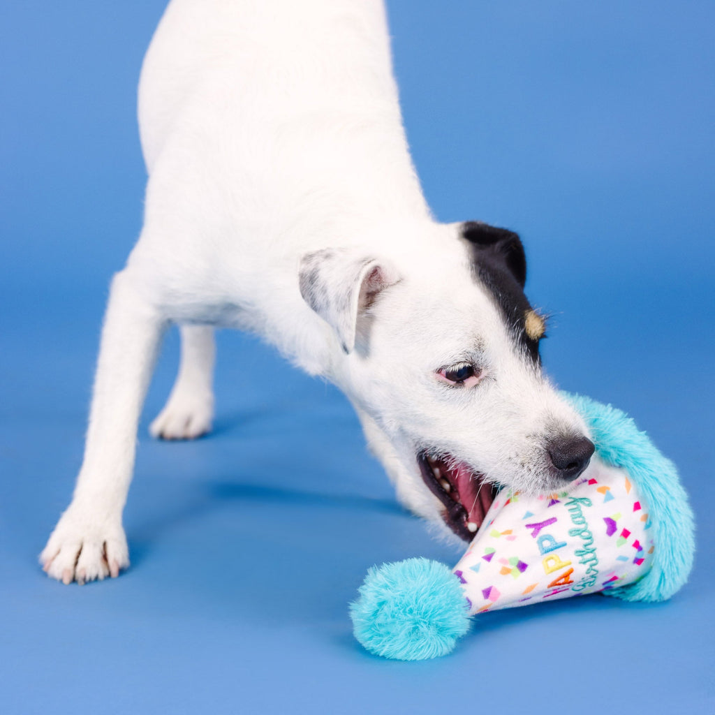 Yappy Barkday Rubber/Plush Dog Toy