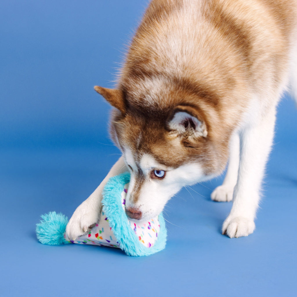 Yappy Barkday Rubber/Plush Dog Toy