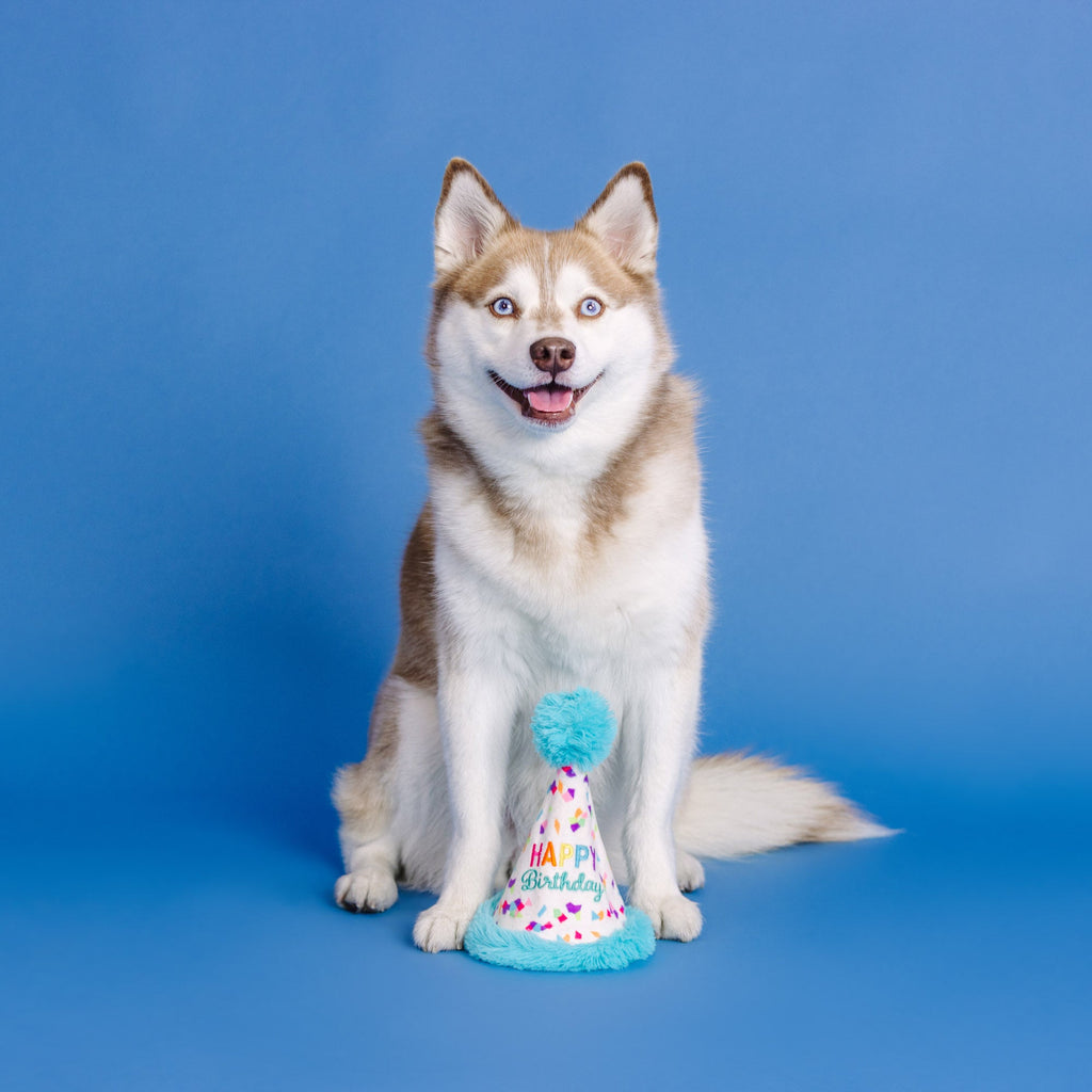 Yappy Barkday Rubber/Plush Dog Toy