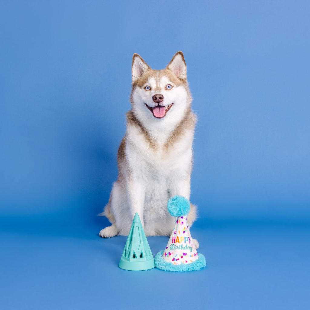 Yappy Barkday Rubber/Plush Dog Toy
