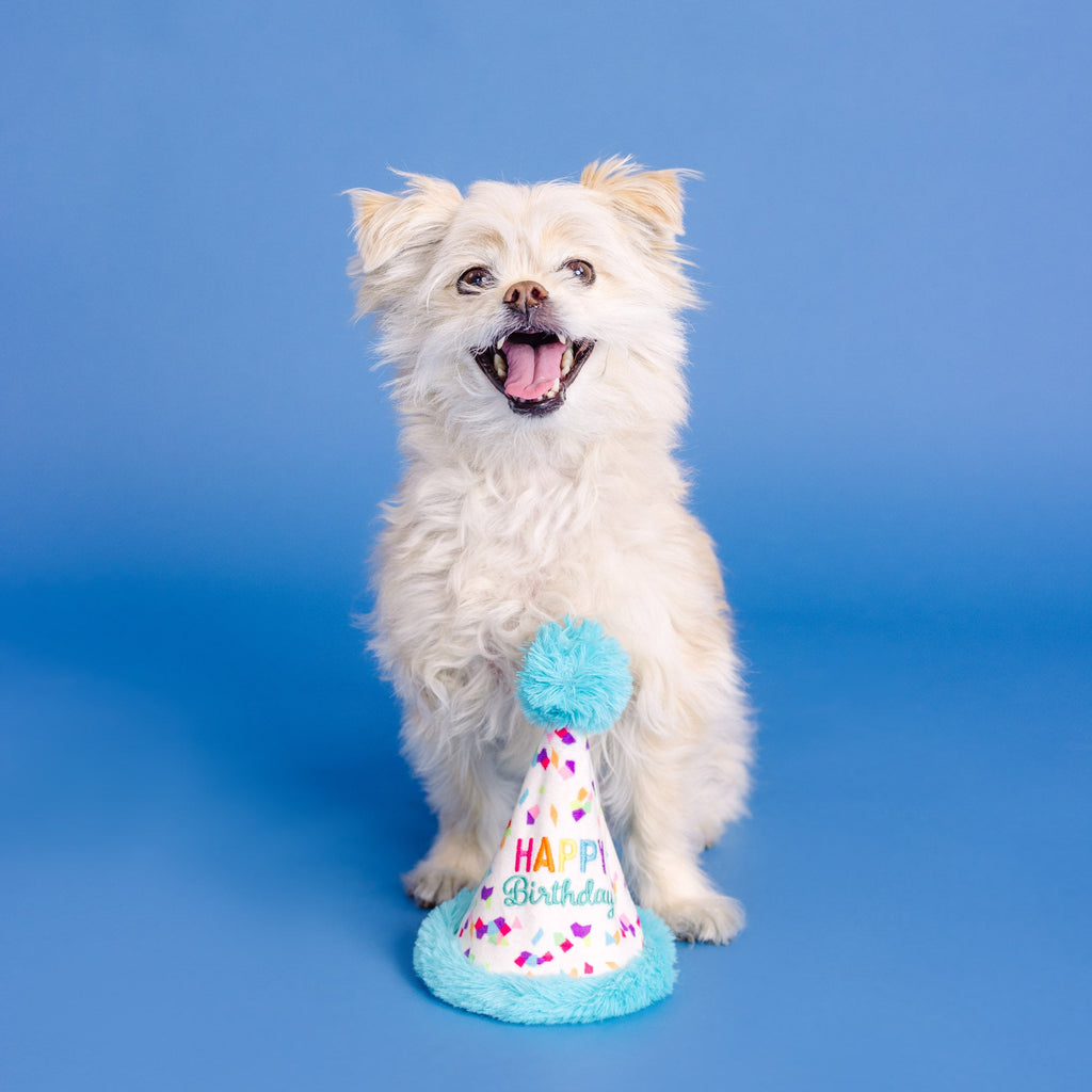 Yappy Barkday Rubber/Plush Dog Toy