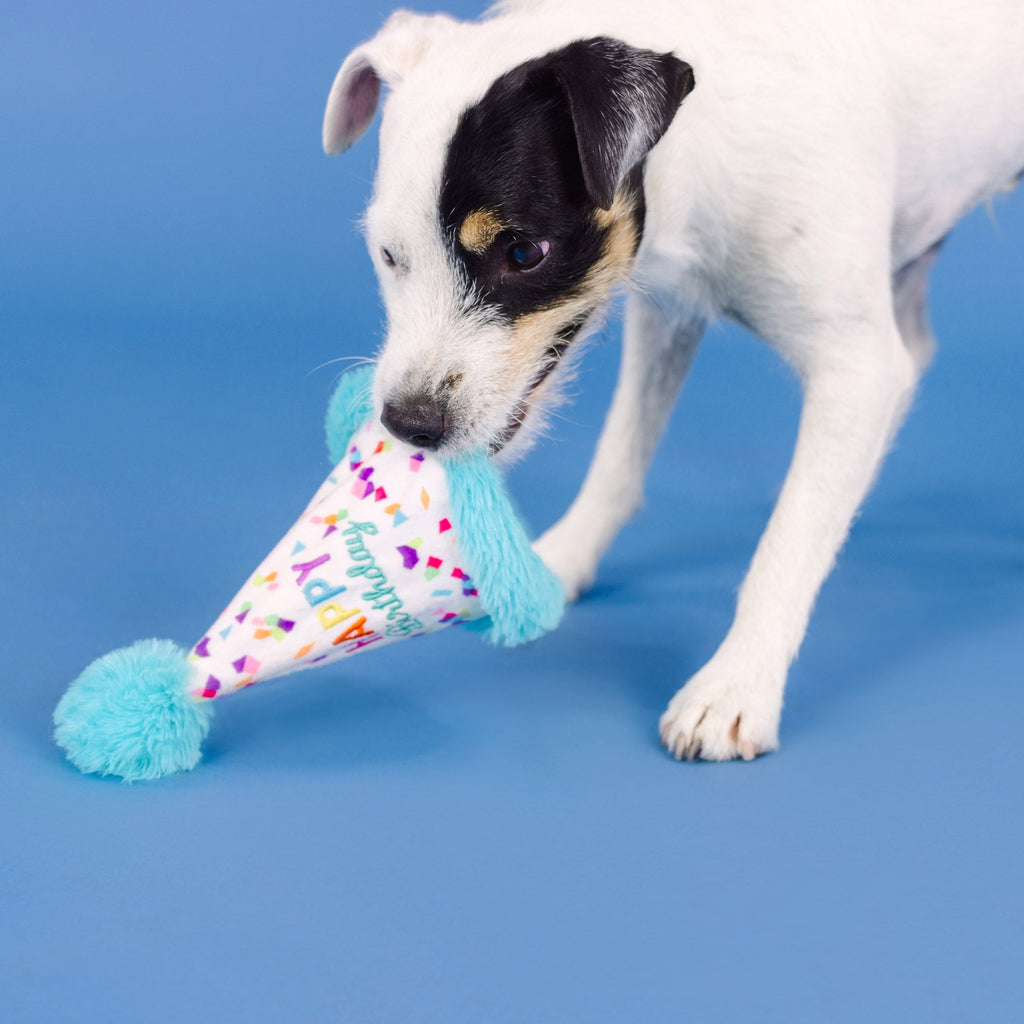 Yappy Barkday Rubber/Plush Dog Toy