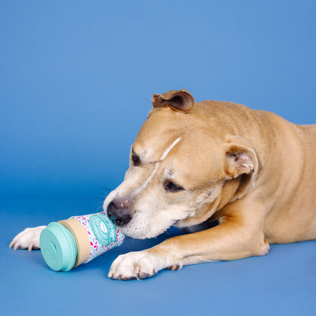 Coffee Gets Me Going Rubber/Plush Dog Toy