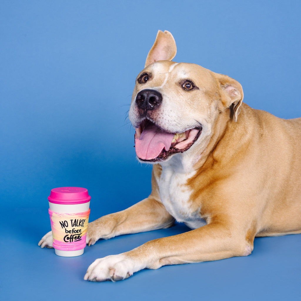 No Talkie Before Coffee Rubber/Plush Dog Toy