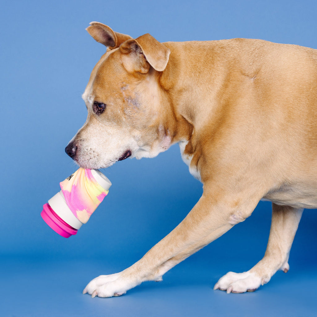 No Talkie Before Coffee Rubber/Plush Dog Toy