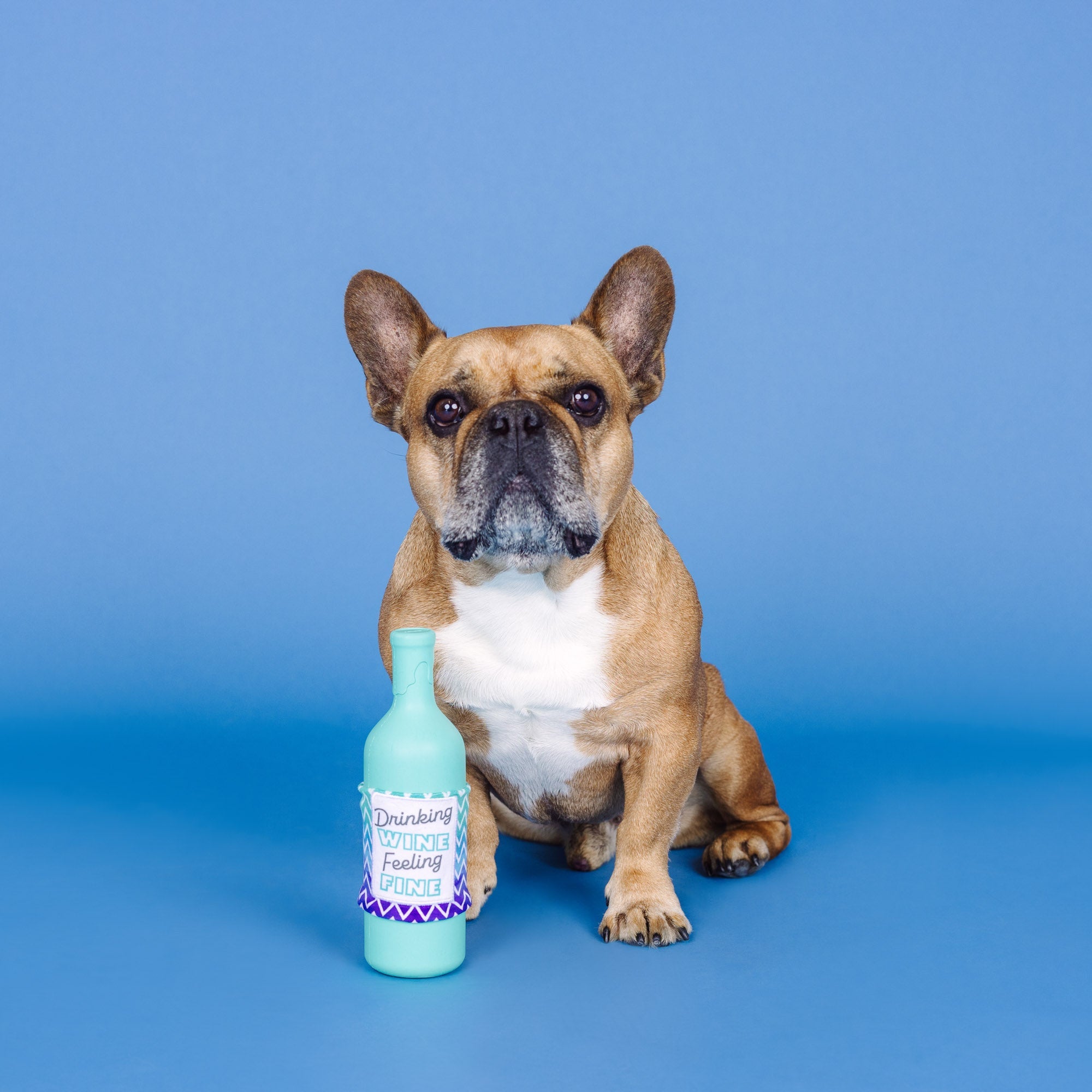Drinking Wine, Feeling Fine Rubber/Plush Dog Toy