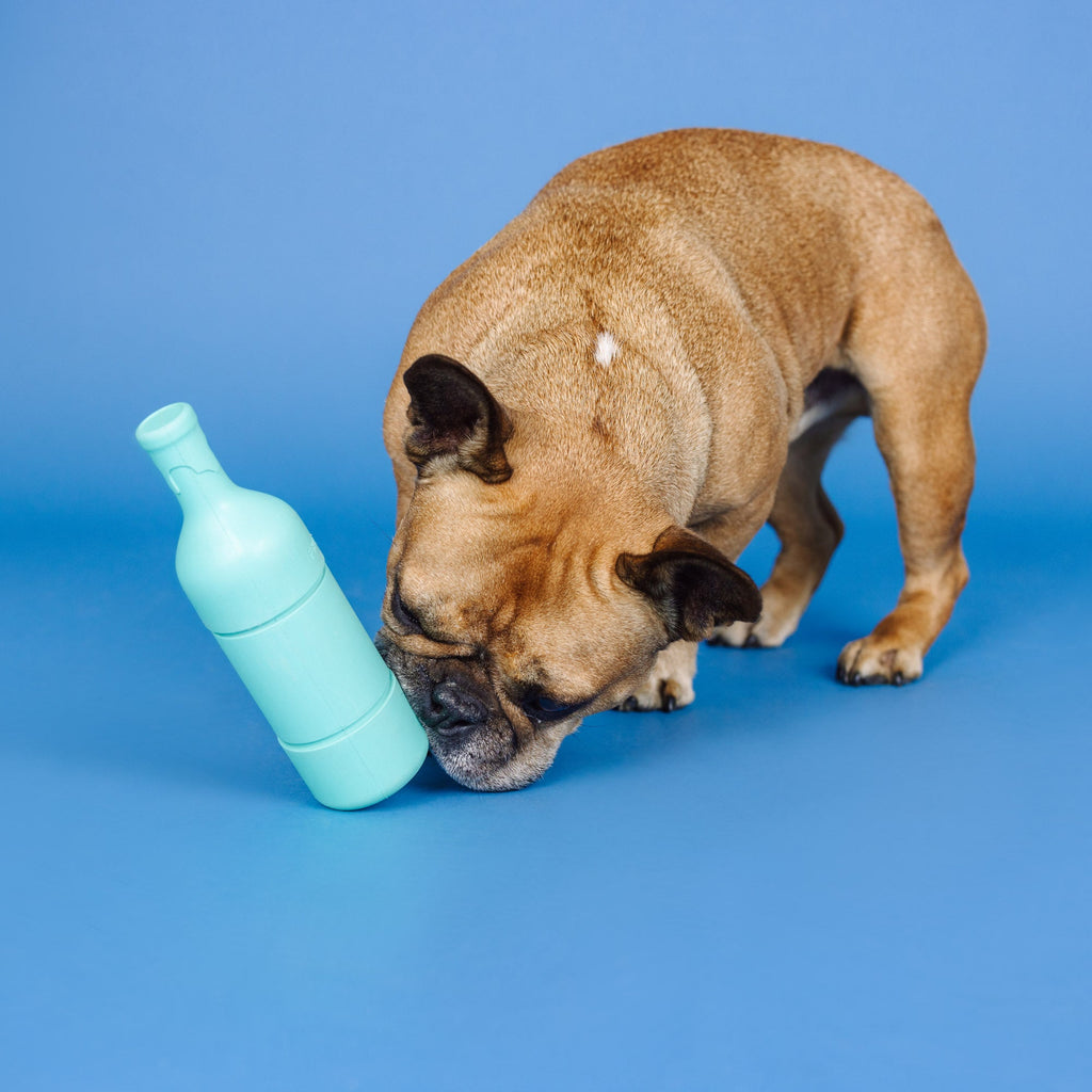 Drinking Wine, Feeling Fine Rubber/Plush Dog Toy