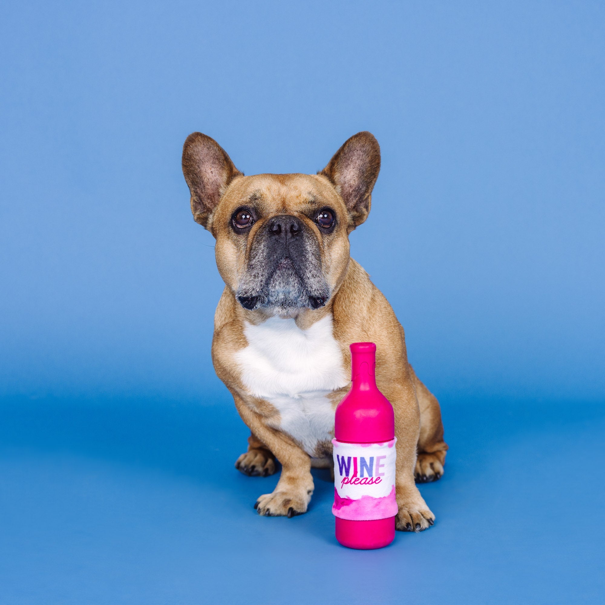 Wine Please Rubber/Plush Dog Toy