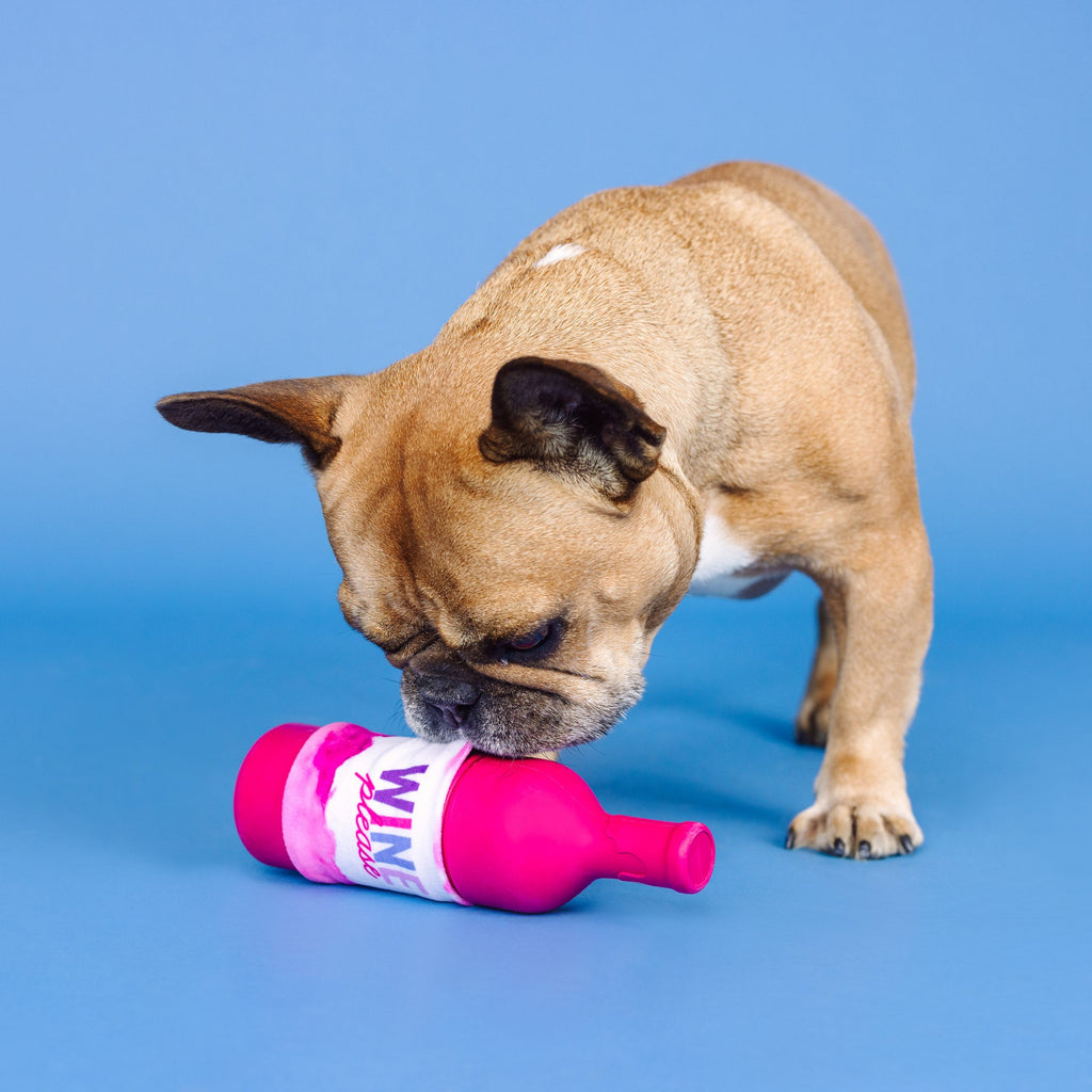 Wine Please Rubber/Plush Dog Toy