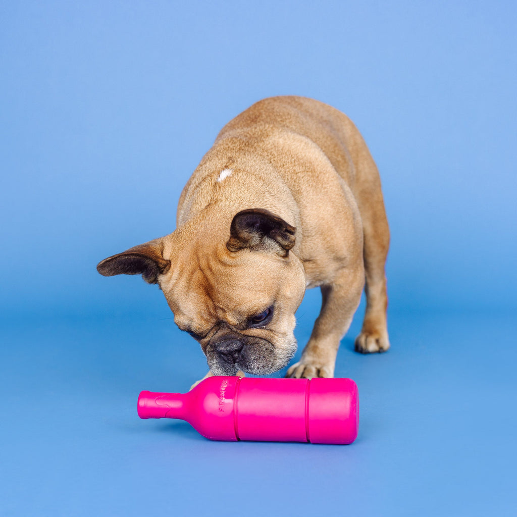 Wine Please Rubber/Plush Dog Toy