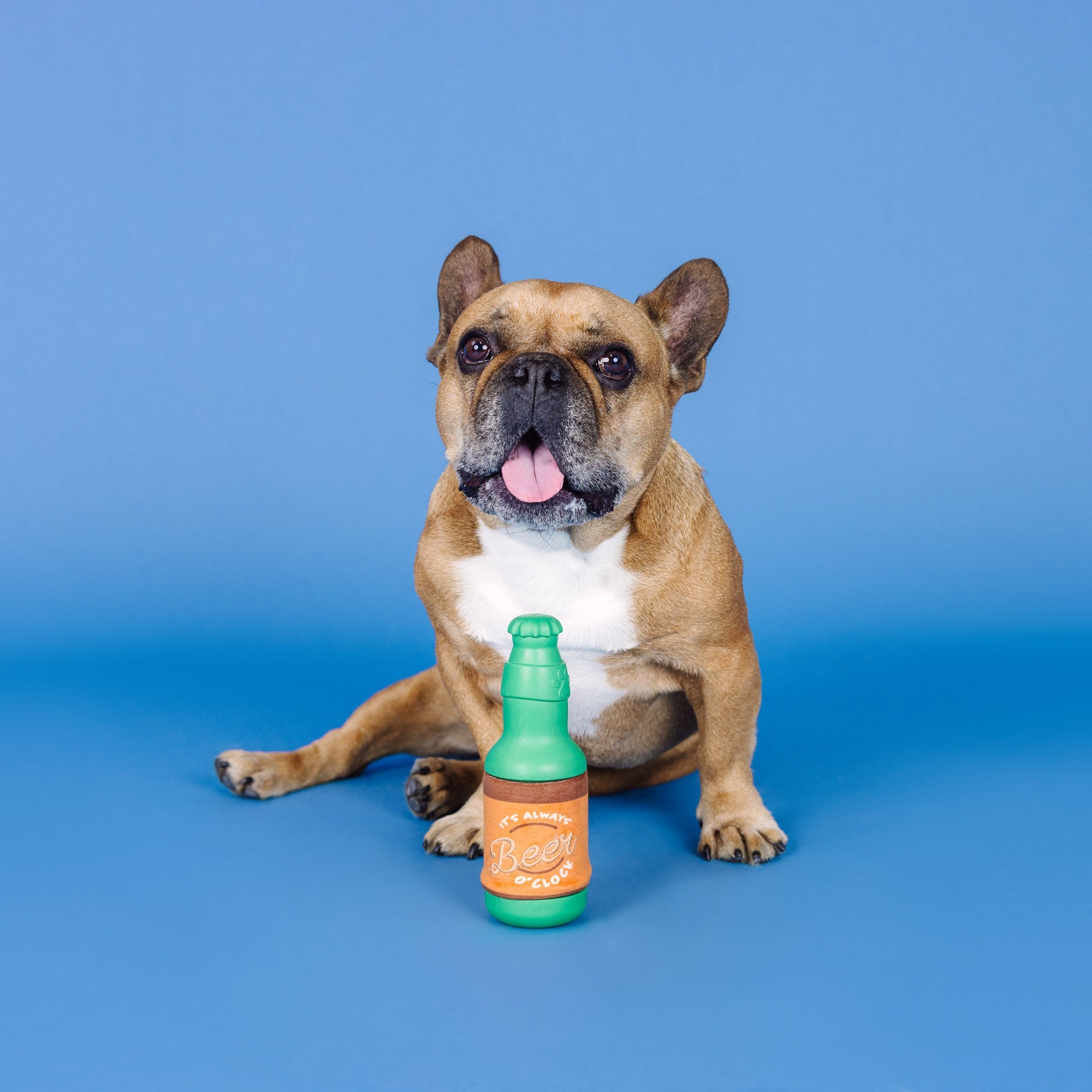 Beer O' Clock Rubber / Plush Dog Toy