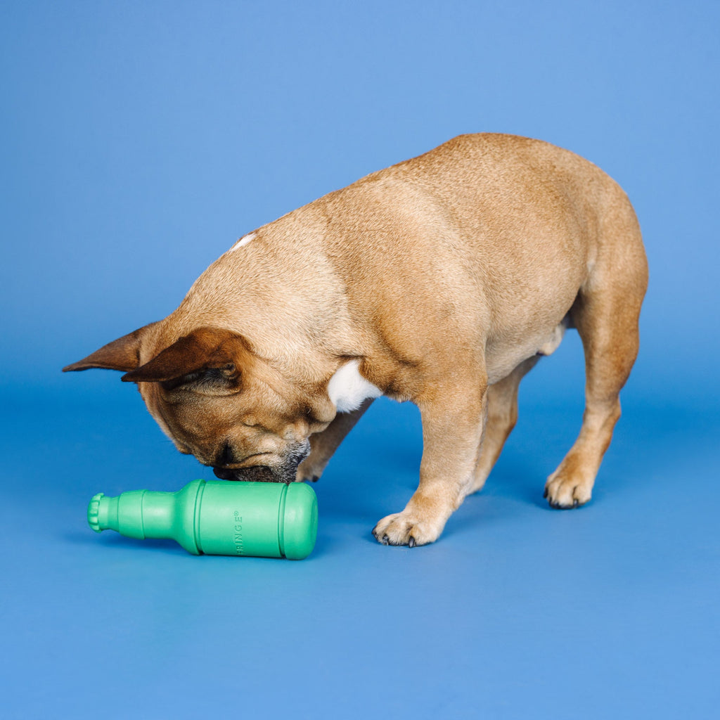 Beer O' Clock Rubber / Plush Dog Toy