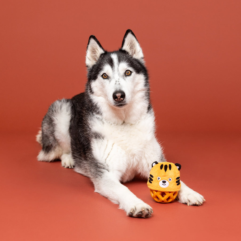 Go Get Em Tiger Rubber/Plush Dog Toy