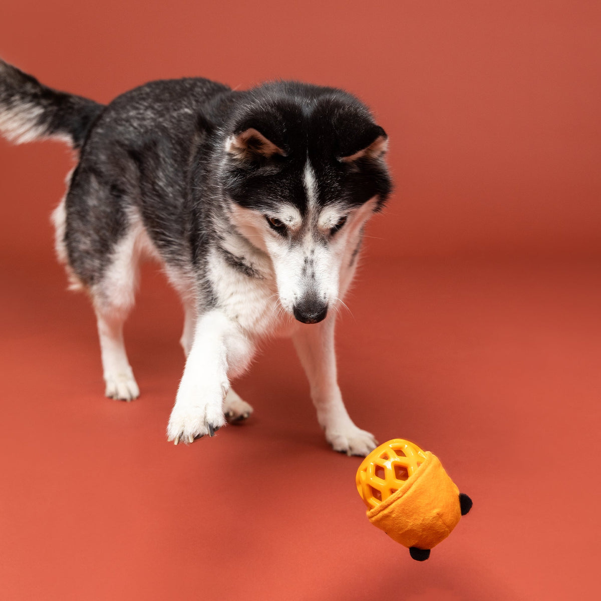 Go Get Em Tiger Rubber/Plush Dog Toy