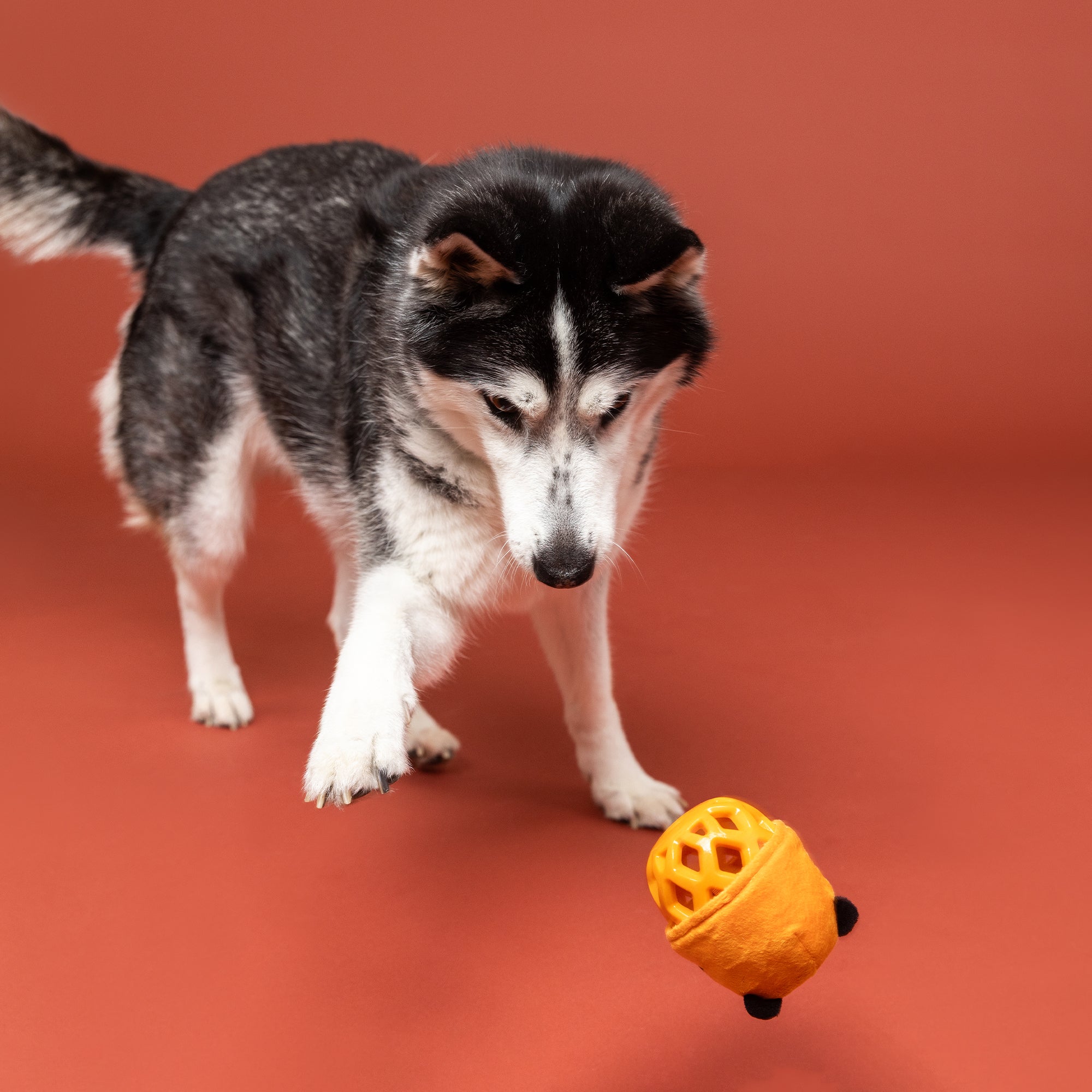 Go Get Em Tiger Rubber/Plush Dog Toy
