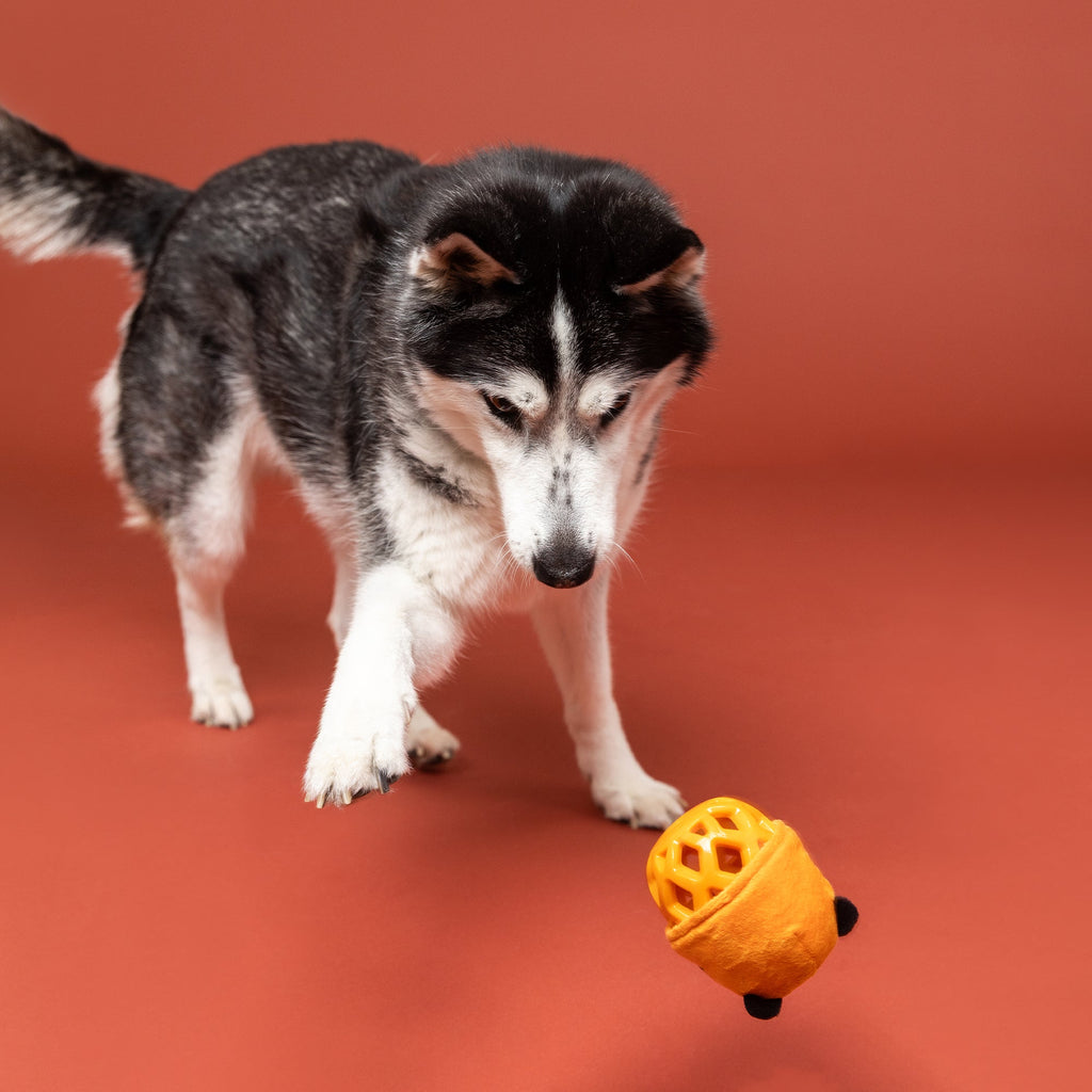 Go Get Em Tiger Rubber/Plush Dog Toy