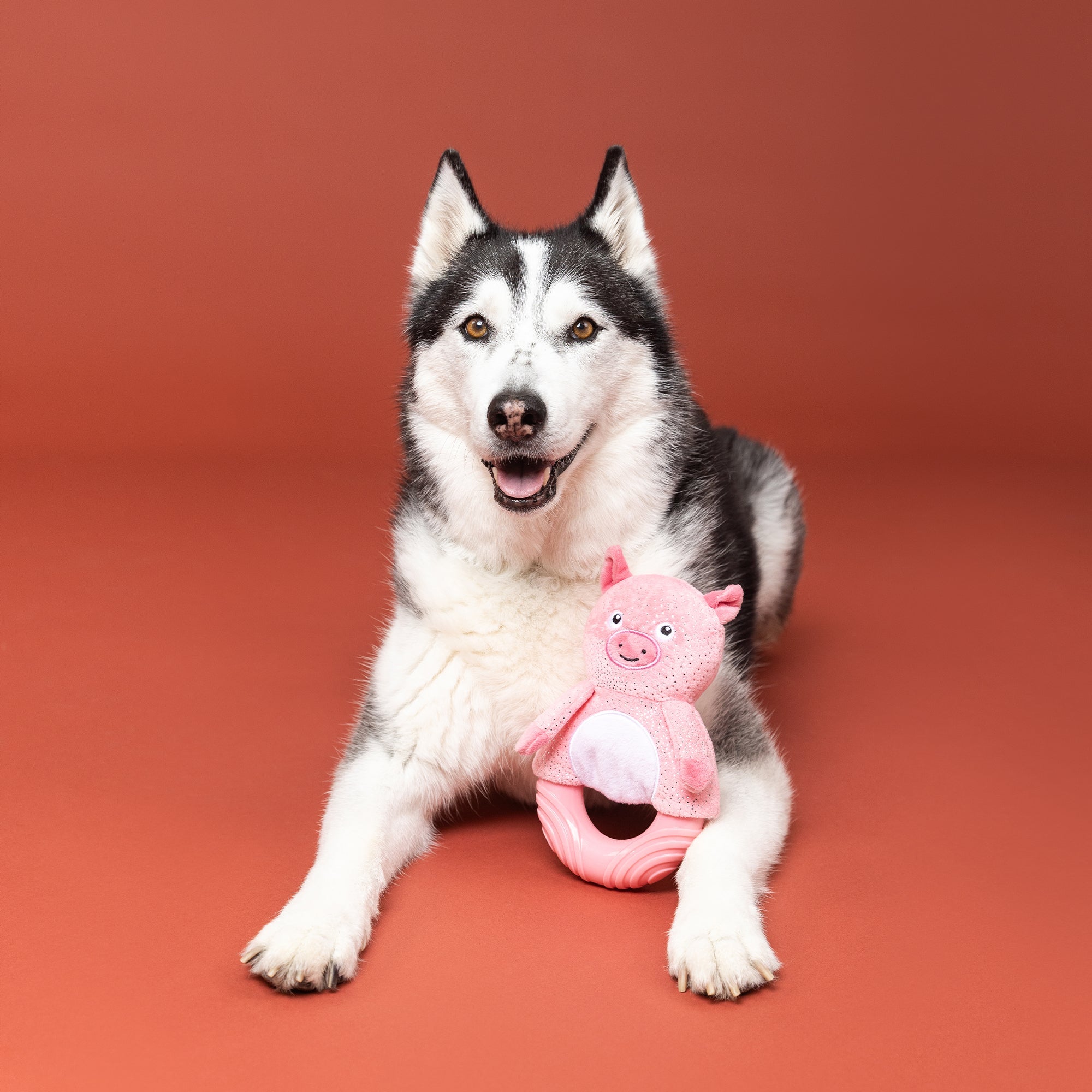 Get Piggy With It Rubber/Plush Dog Toy
