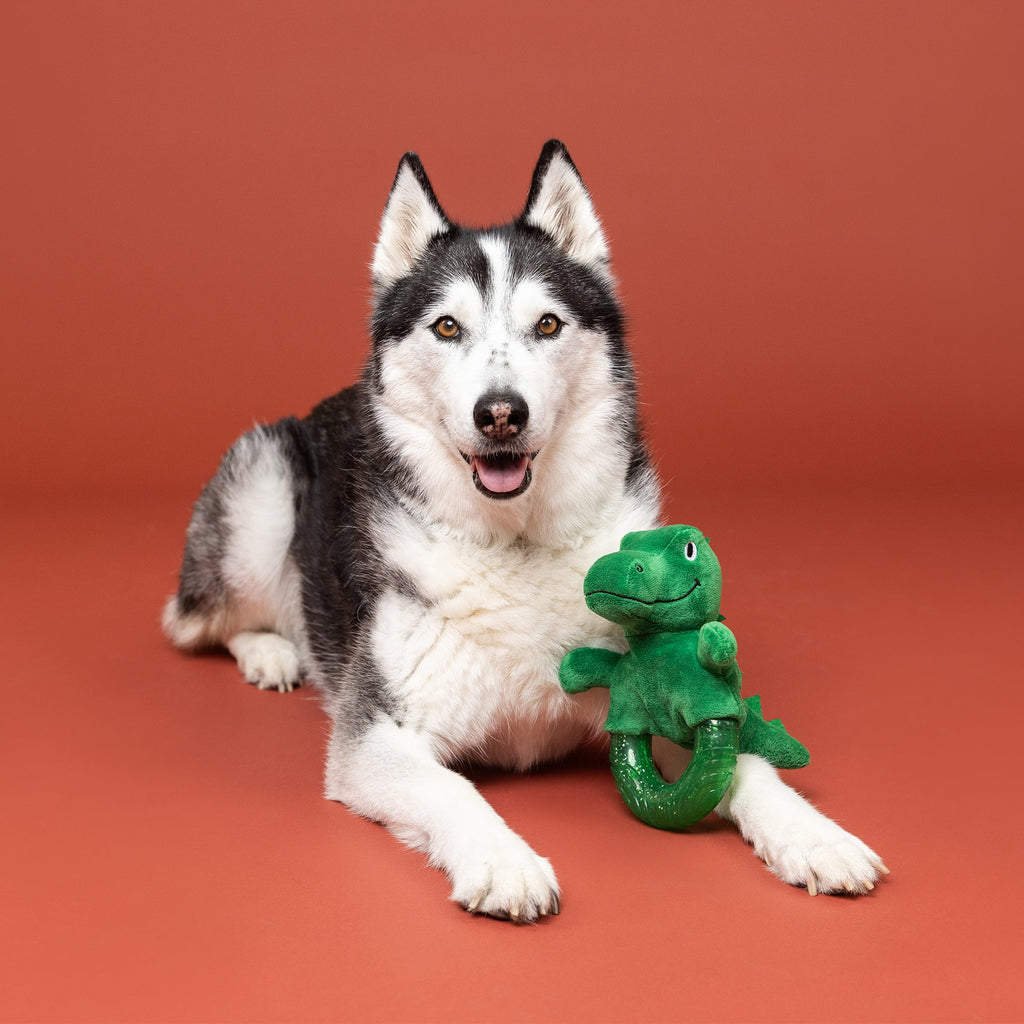 Unleash The Dino Rubber/Plush Dog Toy