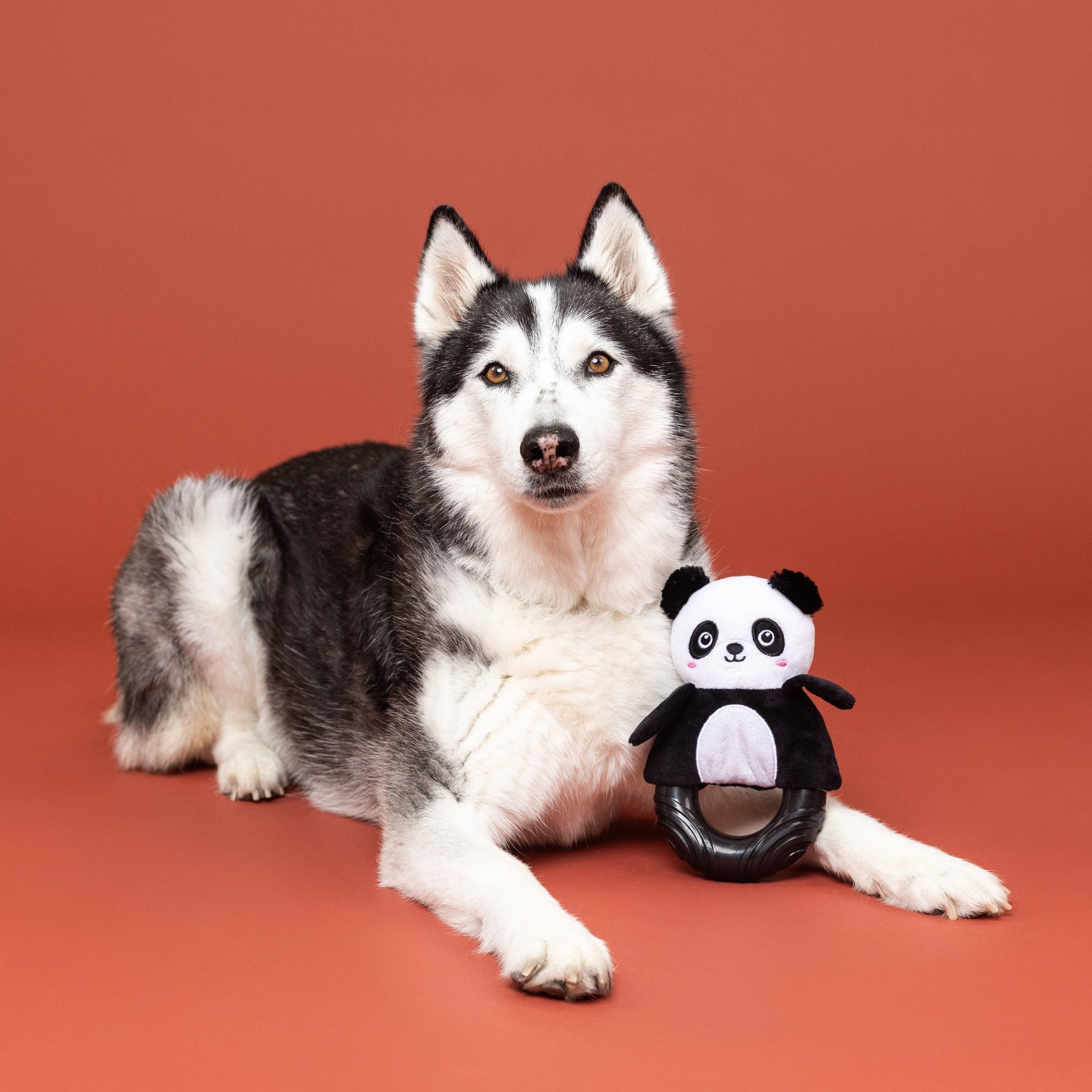 Stu-Panda-Ous! Rubber/Plush Dog Toy