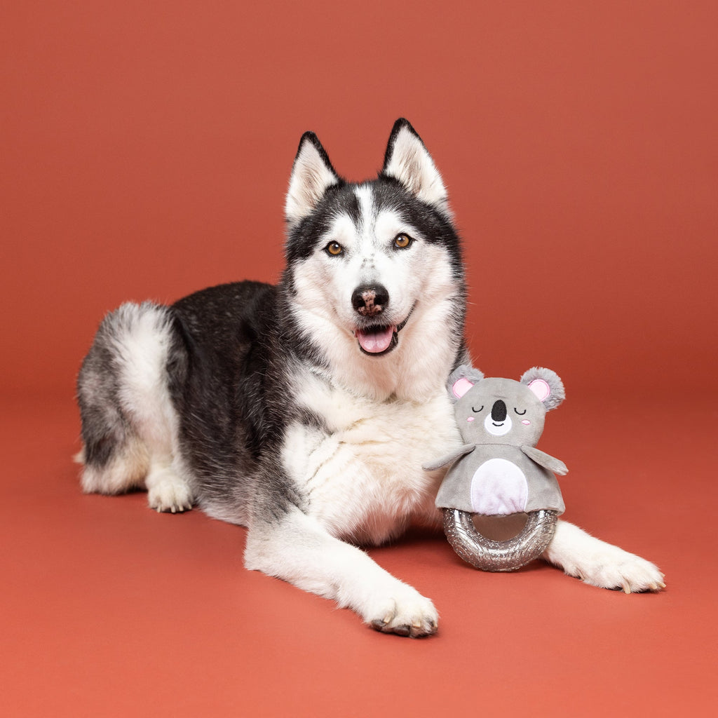 Koal-Ity Vibes Only! Rubber/Plush Dog Toy